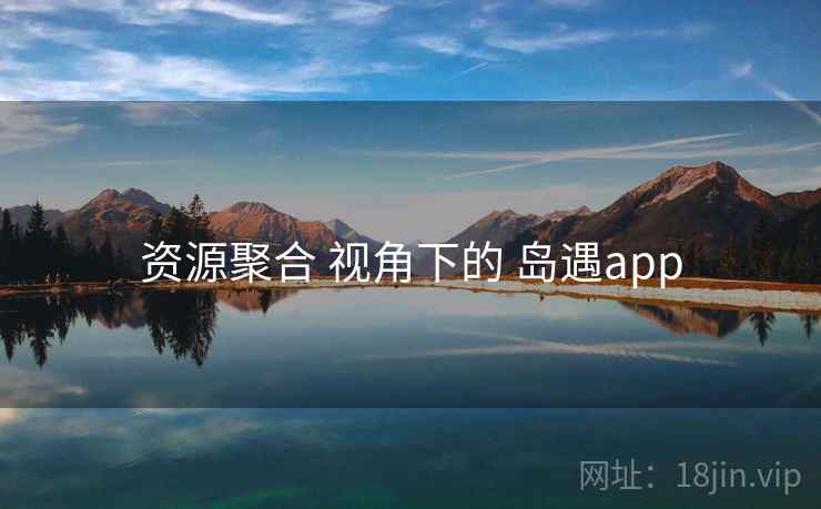 资源聚合 视角下的 岛遇app
