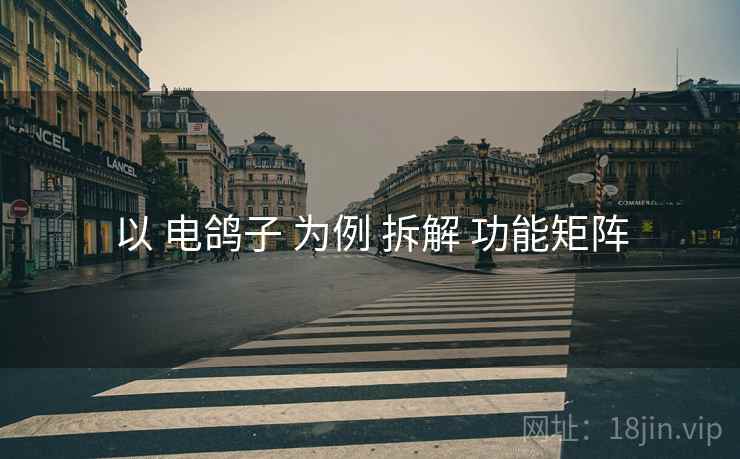 以 电鸽子 为例 拆解 功能矩阵
