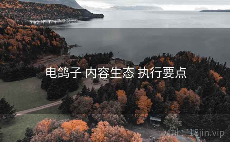 电鸽子 内容生态 执行要点