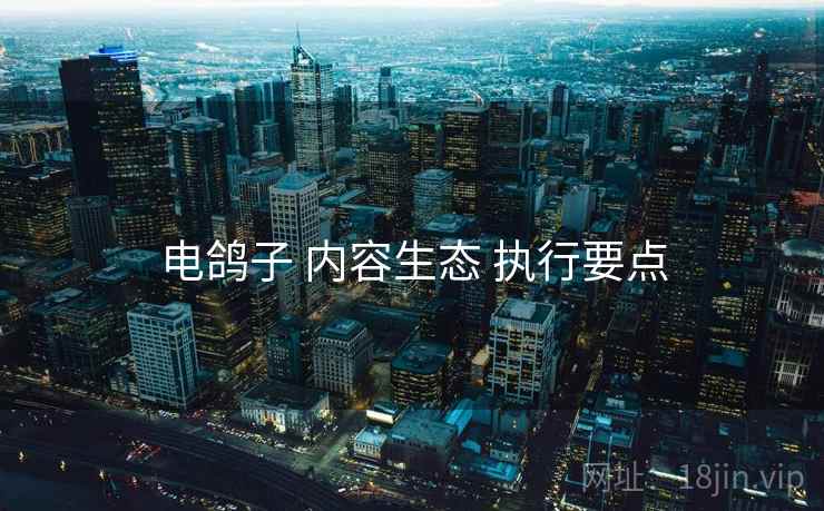 电鸽子 内容生态 执行要点
