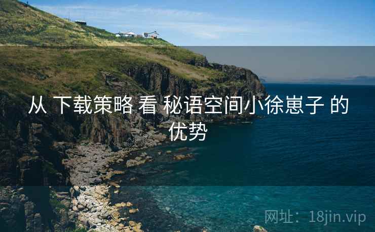 从 下载策略 看 秘语空间小徐崽子 的优势