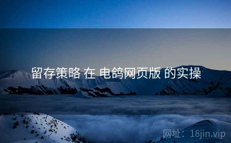 留存策略 在 电鸽网页版 的实操