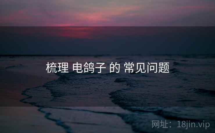 梳理 电鸽子 的 常见问题