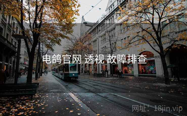 电鸽官网 透视 故障排查