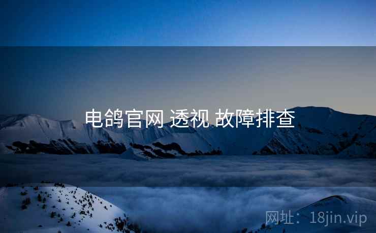 电鸽官网 透视 故障排查