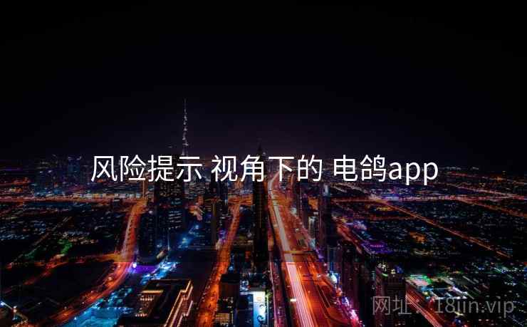 风险提示 视角下的 电鸽app