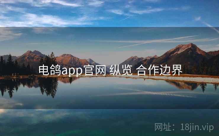 电鸽app官网 纵览 合作边界