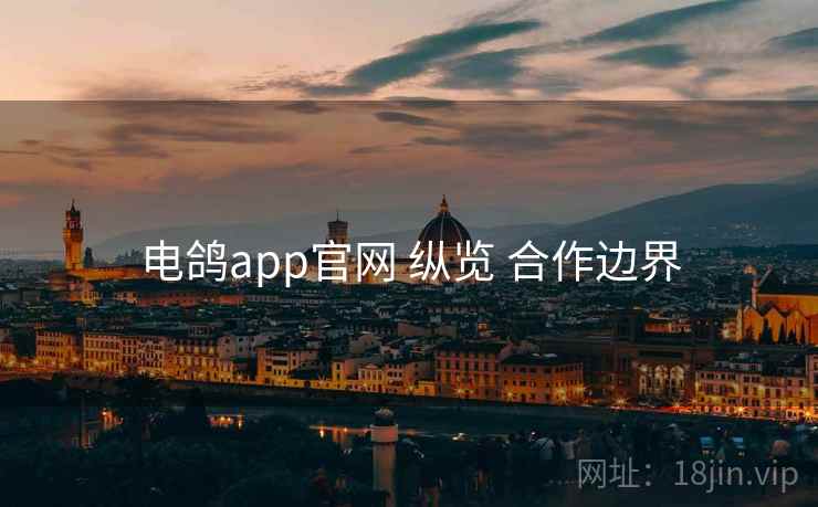 电鸽app官网 纵览 合作边界