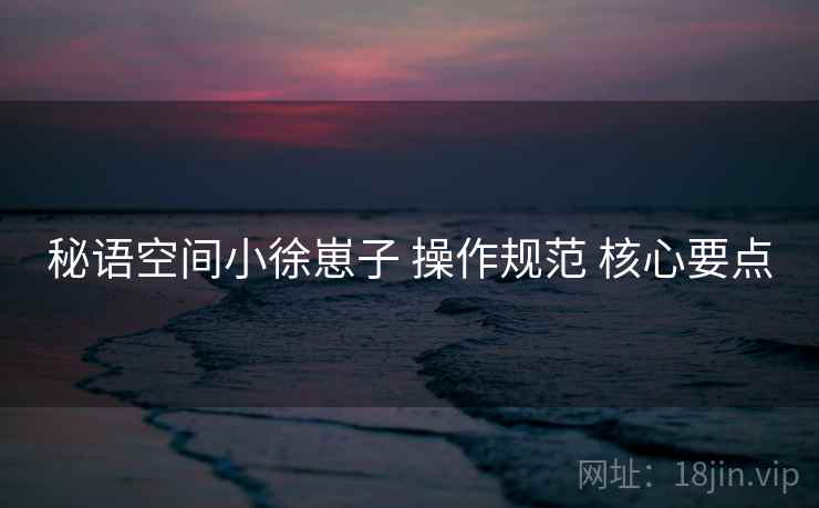 秘语空间小徐崽子 操作规范 核心要点