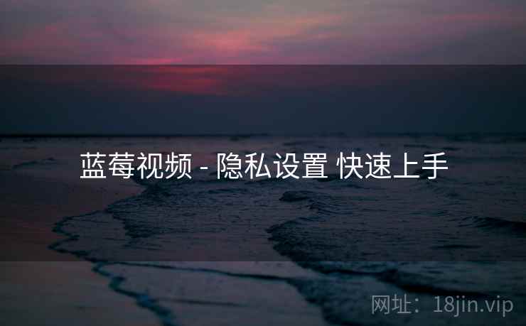 蓝莓视频 - 隐私设置 快速上手
