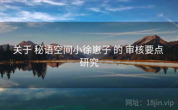 关于 秘语空间小徐崽子 的 审核要点 研究