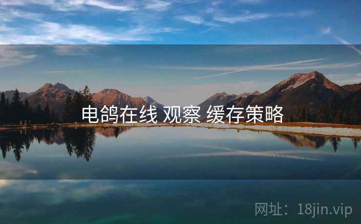 电鸽在线 观察 缓存策略