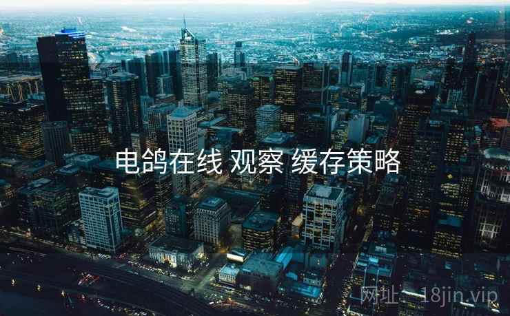 电鸽在线 观察 缓存策略