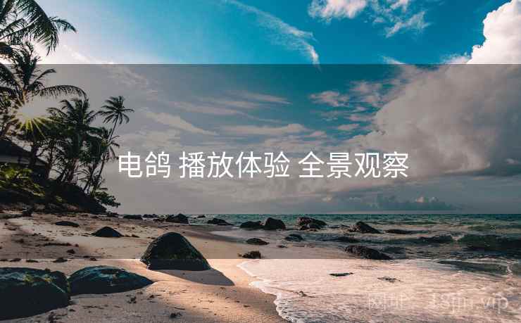电鸽 播放体验 全景观察
