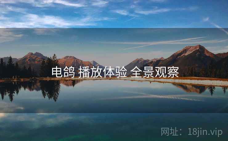 电鸽 播放体验 全景观察