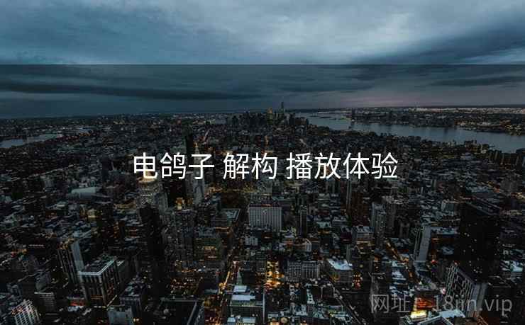 电鸽子 解构 播放体验