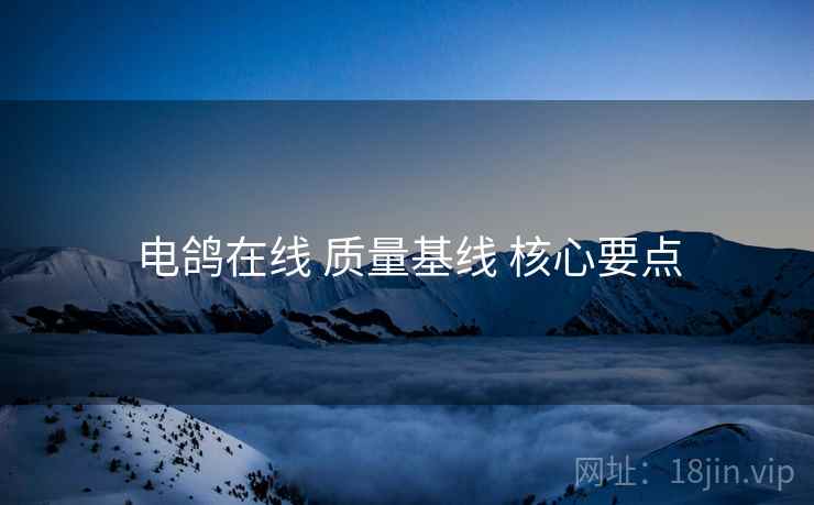 电鸽在线 质量基线 核心要点