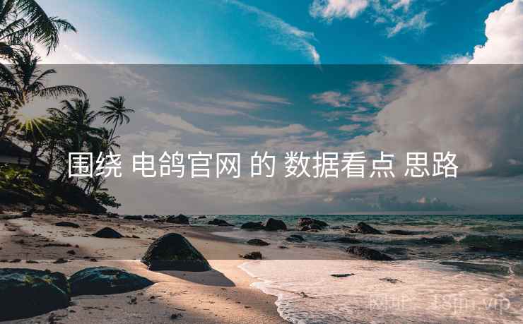 围绕 电鸽官网 的 数据看点 思路