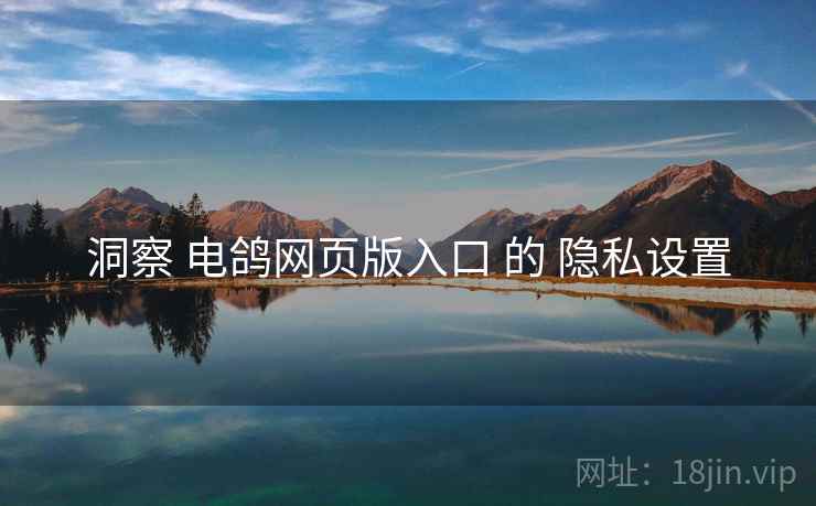 洞察 电鸽网页版入口 的 隐私设置